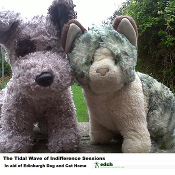 The Tidal Wave of Indifference Sessions cover art