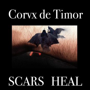 Scars Heal cover art