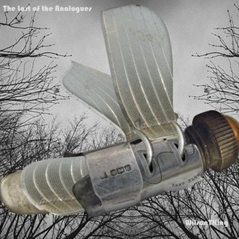 The Last Of The Analogues cover art