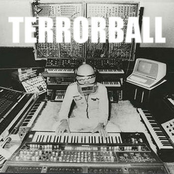 Terrorball vs Perfume 2011 cover art