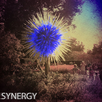 Synergy cover art