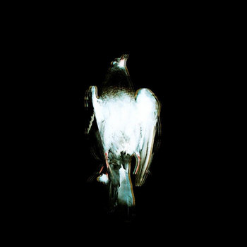 In The Mourning Light cover art