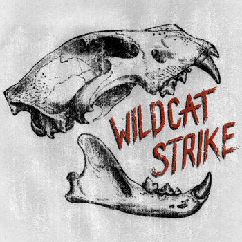 Wildcat Strike cover art