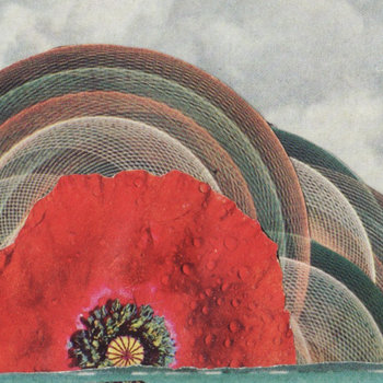 SEA MISTER cover art