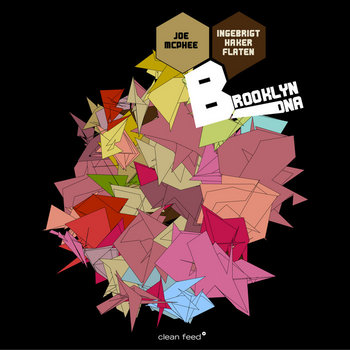 Brooklyn DNA cover art