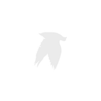 a3816135794_2.jpg