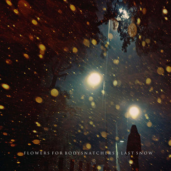 Last Snow cover art