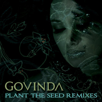 Plant The Seed Remixes cover art