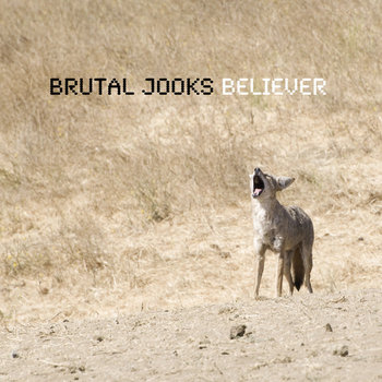 Believer cover art