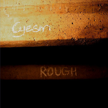 Rough cover art
