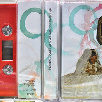 Shadow Colors and Maybe Insects cover art
