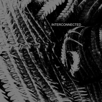 INTERCONNECTED cover art