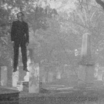 INTERNET GRAVEYARD VOL ONE cover art