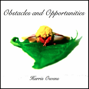 Obstacles And Opportunities cover art
