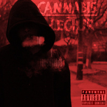 Cannabis Lectur cover art