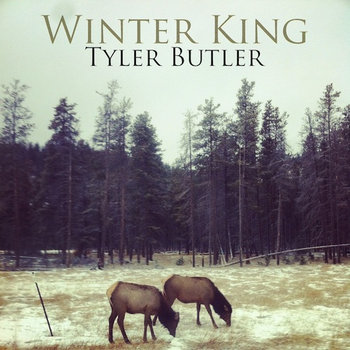 Winter King cover art