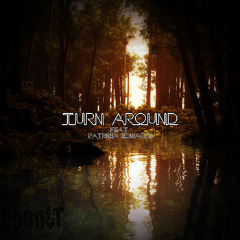 Turn Around Feat. Patricia Edwards cover art