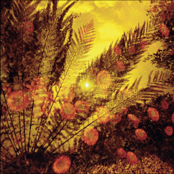 Split Screens EP cover art