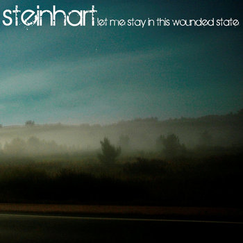 Let Me Stay In This Wounded State cover art