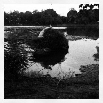 The Light of Loneliness cover art