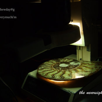 The NearSighted EP cover art