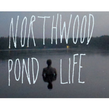 Pond Life cover art