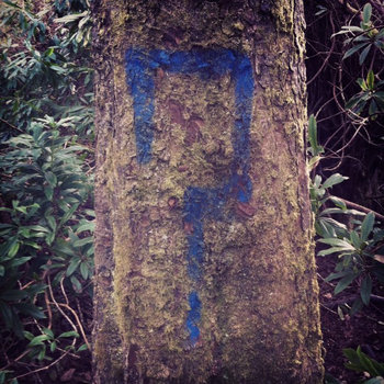 Scottish Fiction July 2012 EP cover art