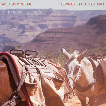Dommage que tu sois pris cover art