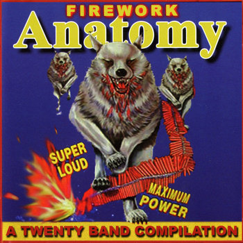 Firework Anatomy: A Twenty Band Compilation cover art