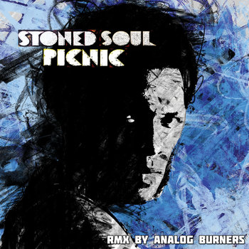 Stoned Soul Picnic RMX cover art