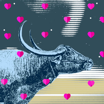 Animal cover art