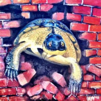 Revenge of the Turtles cover art