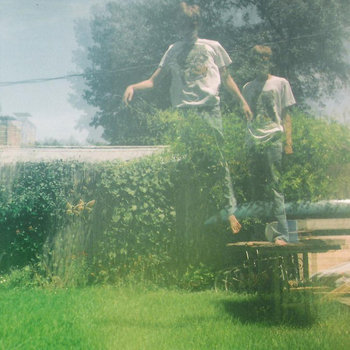 Turtles in Their Teens cover art