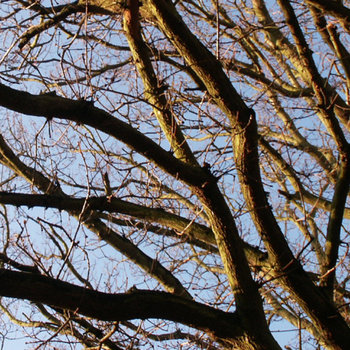 Recall Autumn Skies EP cover art