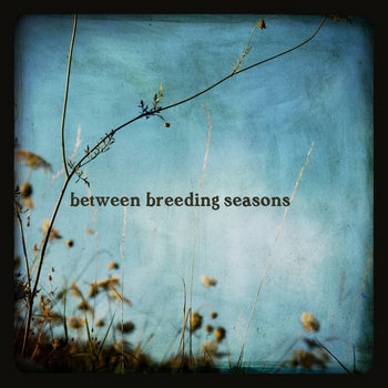 between breeding seasons cover art