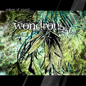 wondrous cover art