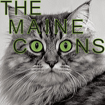 S/T cover art