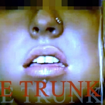 the TRUNK cover art