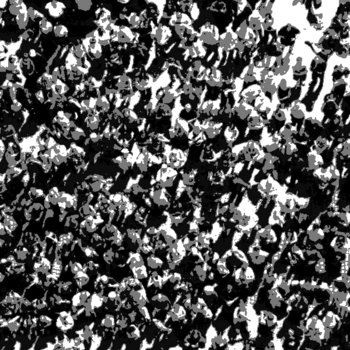 Despite the Crowd cover art