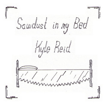 Sawdust in my Bed cover art