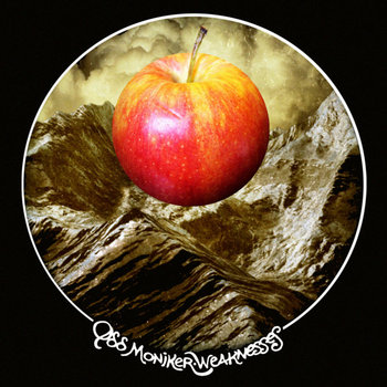 Weaknesses cover art