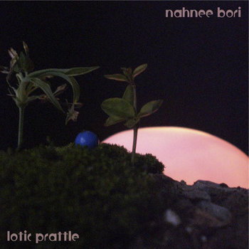 Lotic Prattle cover art
