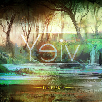 Immersion cover art