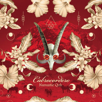 Namastie Qoh cover art