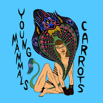 Carrots cover art