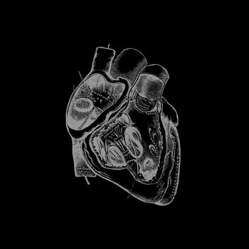 Of The Heart Increased cover art