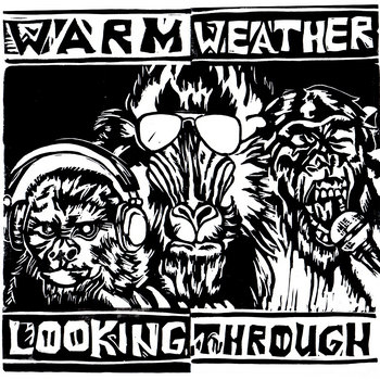 Looking Through cover art