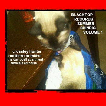 Blacktop Records Summer Shindig Volume 1 (BTR026) cover art