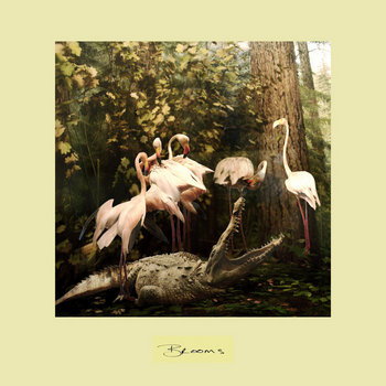 In The Backyard cover art
