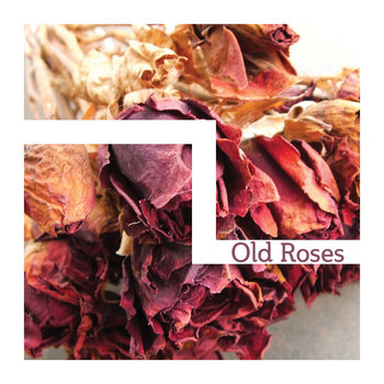 OLD ROSES [EP] (2 of 3) cover art